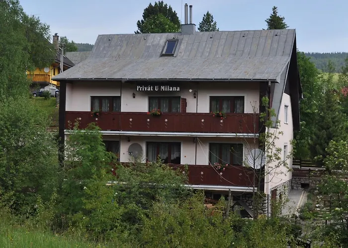 Apartament Privat U Milana Hlavna 316 Ždiar